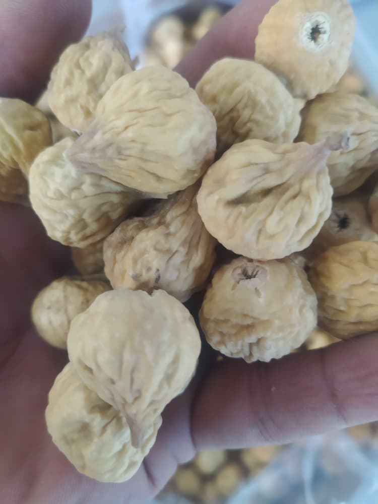 تصویر 1 از فروش ویژه انجیر لوکس سه آ + ارسال سریع